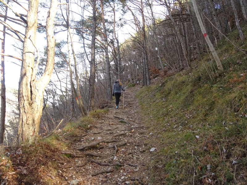 Monte Garsol, 967 m (Monti del Garda)